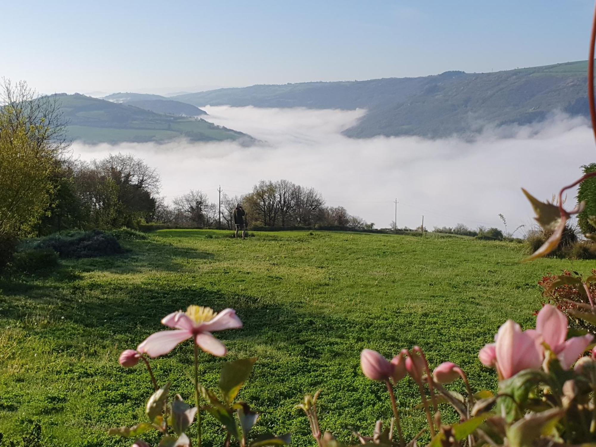 La Colline Du Chat Perche Villa Connac Екстериор снимка